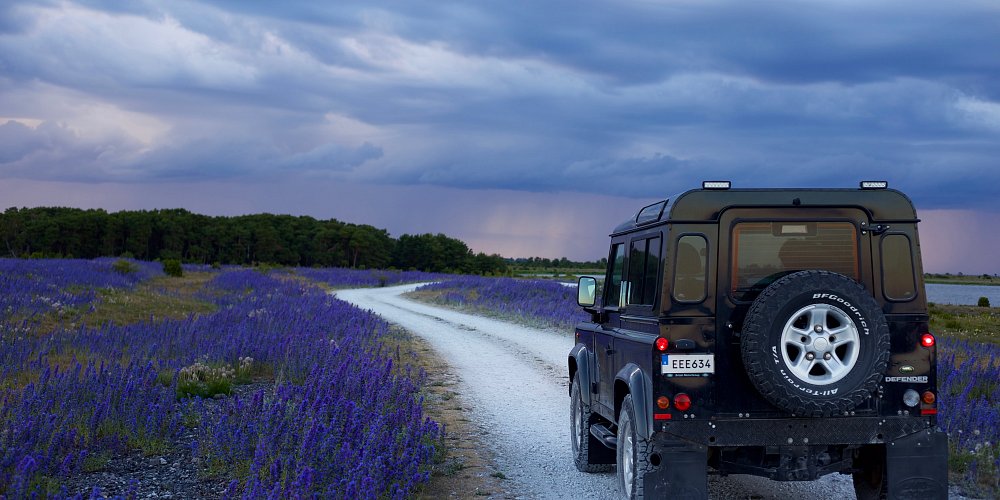 rental-car-georgia-SUV-and-lavander-field